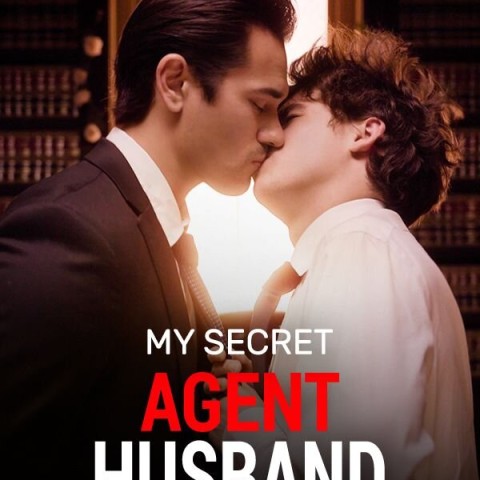 My Secret Agent Husband