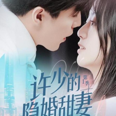 Hidden Sweet Wife