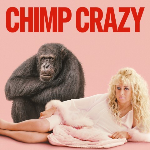 Chimp Crazy