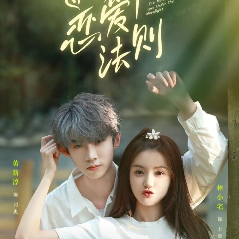 The Rules of Love Under the Moonlight
