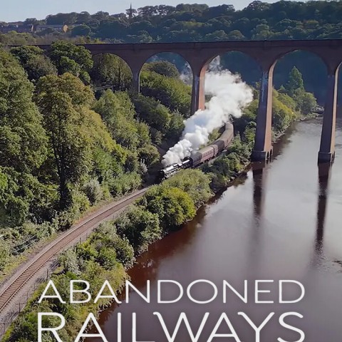 Abandoned Railways from Above