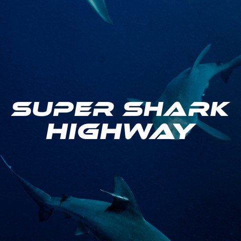 Super Shark Highway