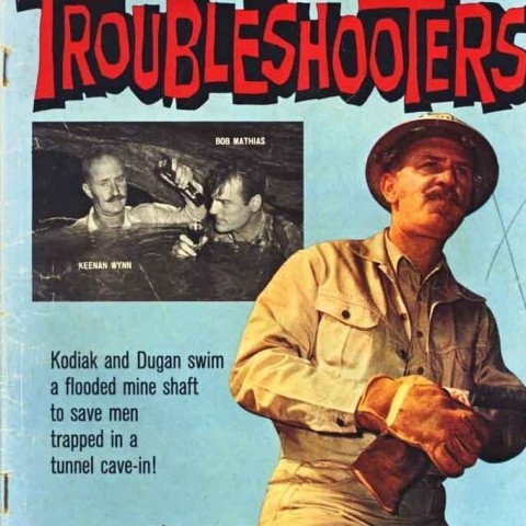 The Troubleshooters