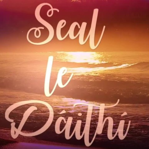 Seal le Dáithí