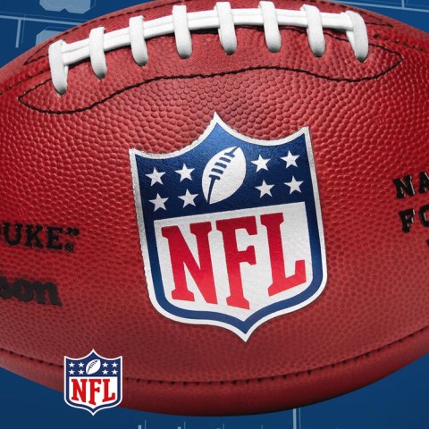 NFL End Zone