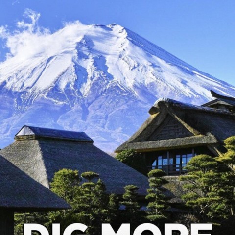 Dig More Japan