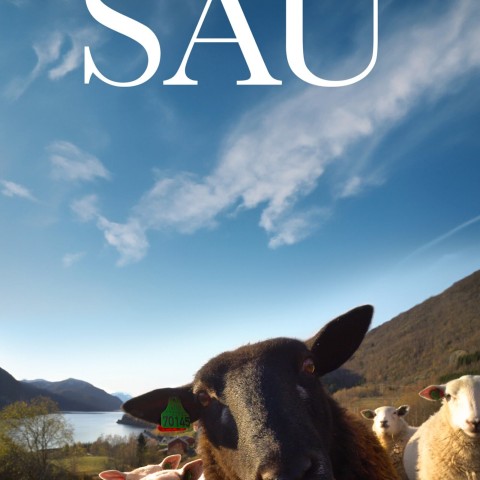 Sau