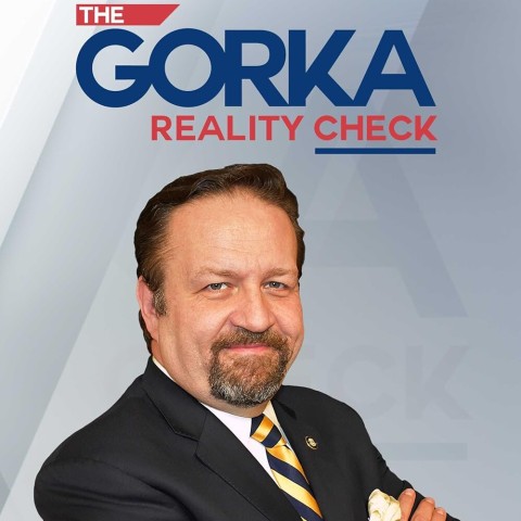 The Gorka Reality Check