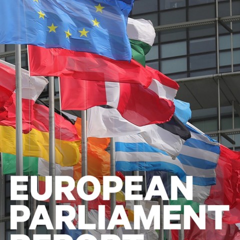 European Parliament Report