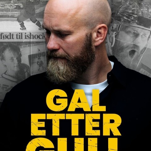 Gal etter gull