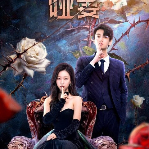 The Silent Wife