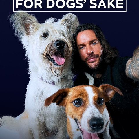 Pete Wicks: For Dogs' Sake