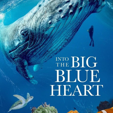 Into the Big Blue Heart