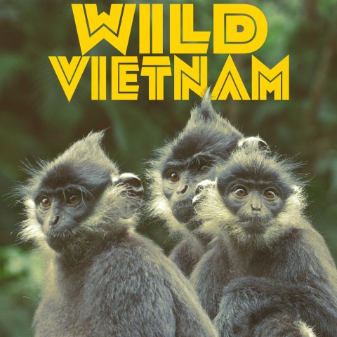 Wild Vietnam