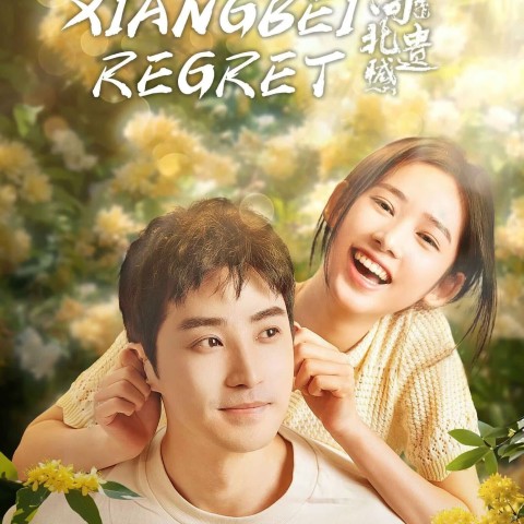 Xiangbei Regret