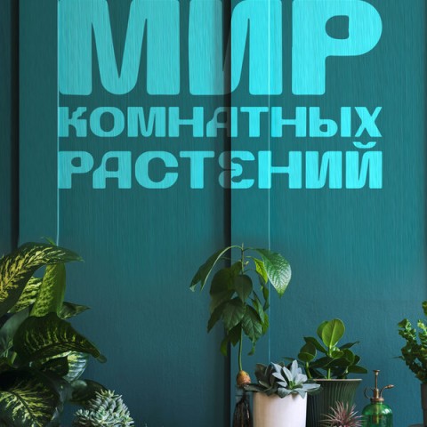 Мир комнатных растений