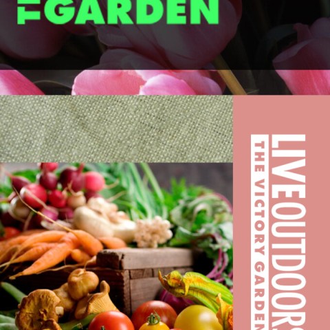 The Victory Garden