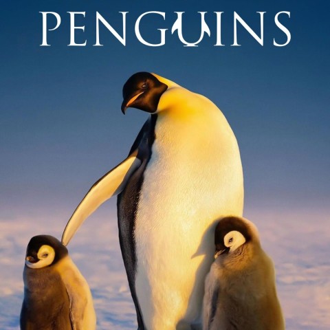 Secrets of the Penguins