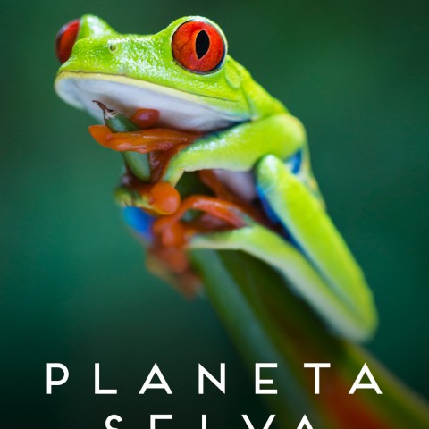 Planeta Selva