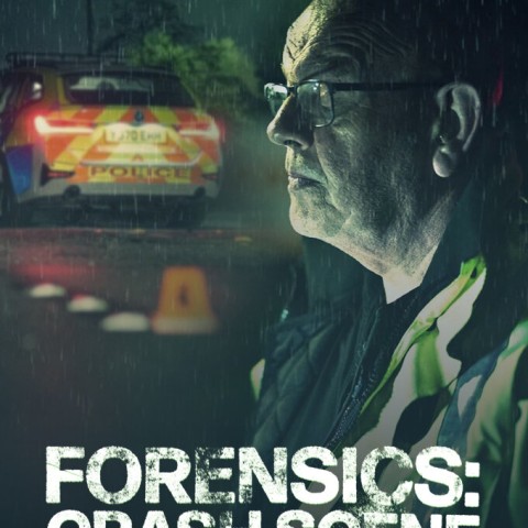 Forensics: Crash Scene Investigators