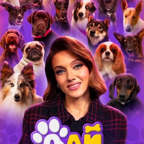 Дай лапу