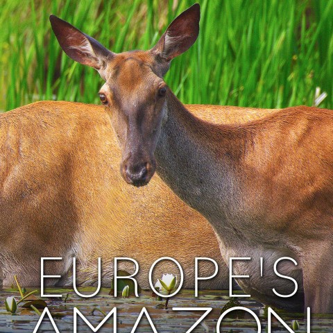 Europe's Amazon