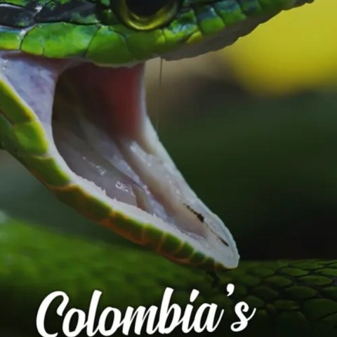 Colombia's Wild Coast