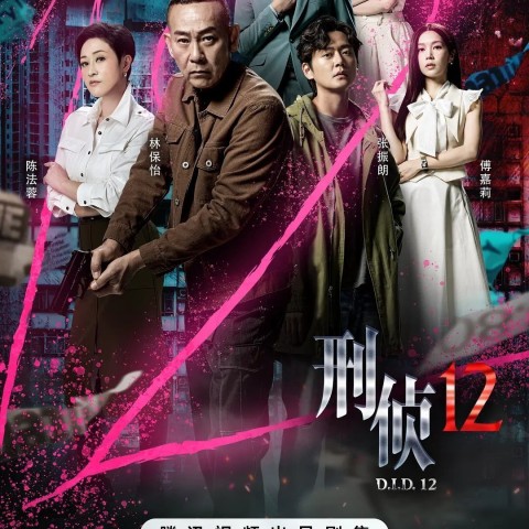D.I.D. 12