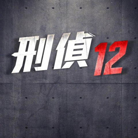 D.I.D. 12