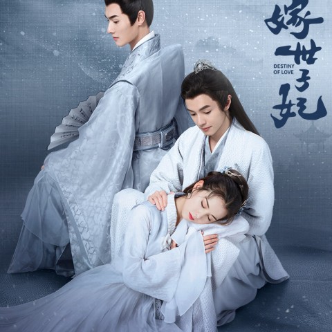 Destiny of Love
