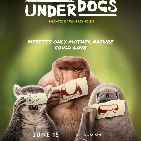 Underdogs