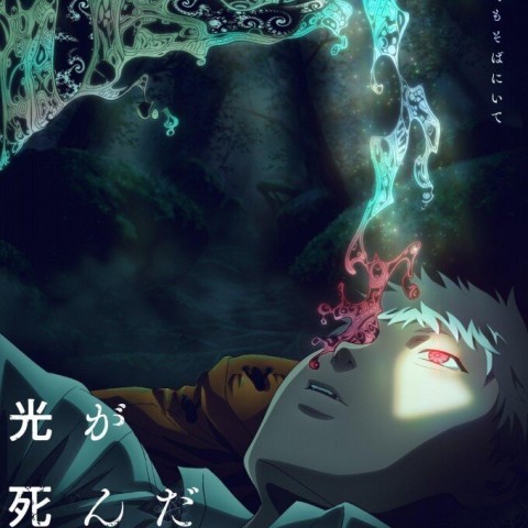 The Summer Hikaru Died