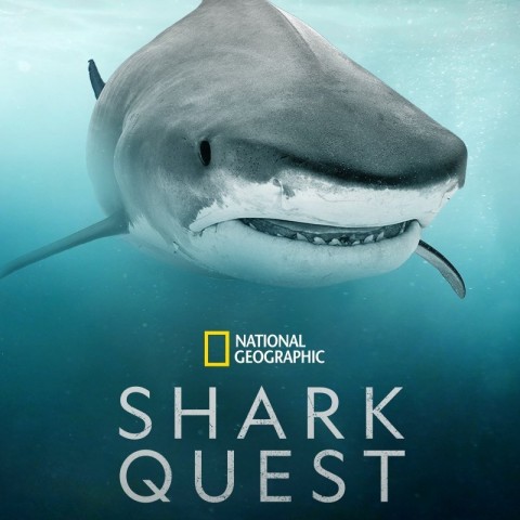 Shark Quest: Hunt For The Apex Predator