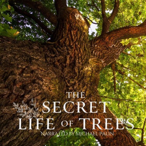 The Secret Life of Trees