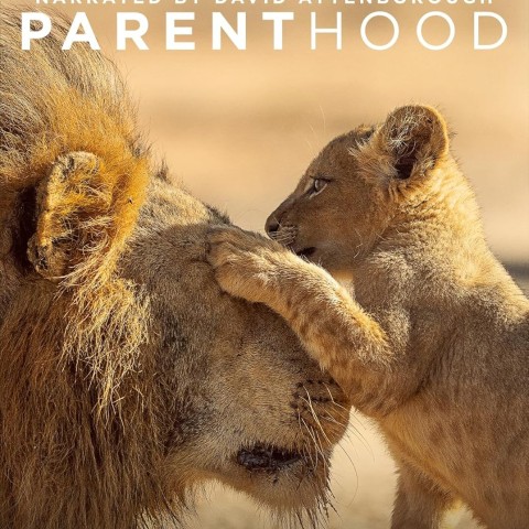 Parenthood