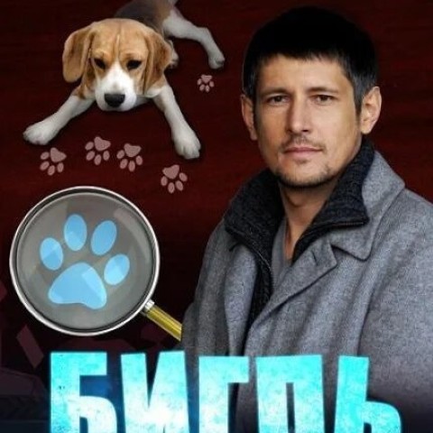 Бигль