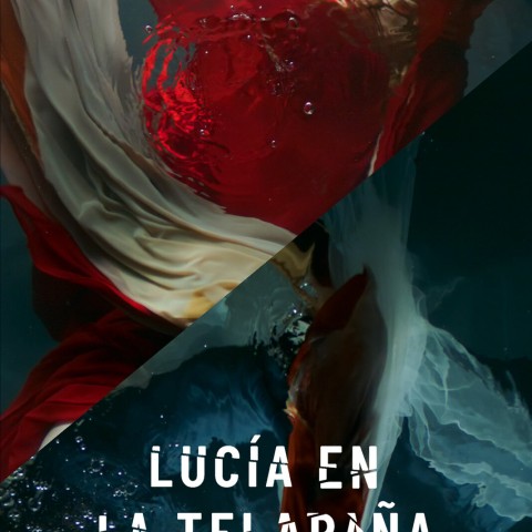 Lucía en la telaraña