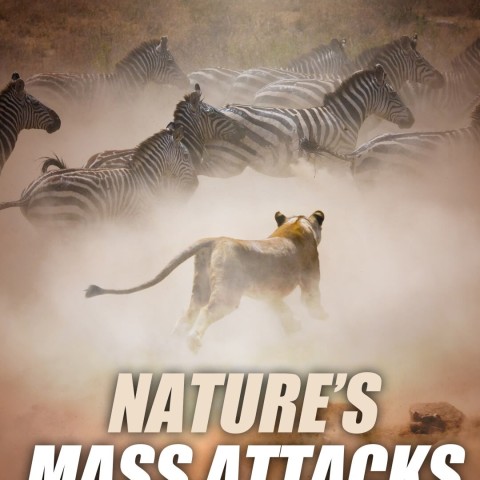 Nature's Mass Attacks