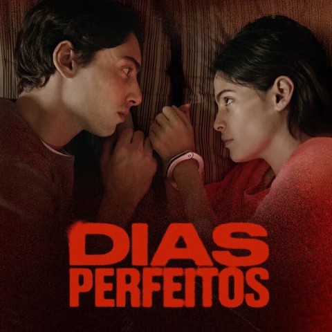 Dias Perfeitos