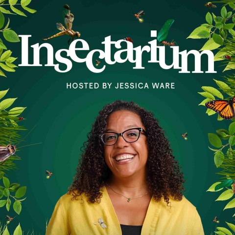 Insectarium