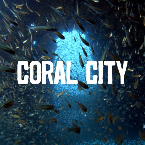 Coral City
