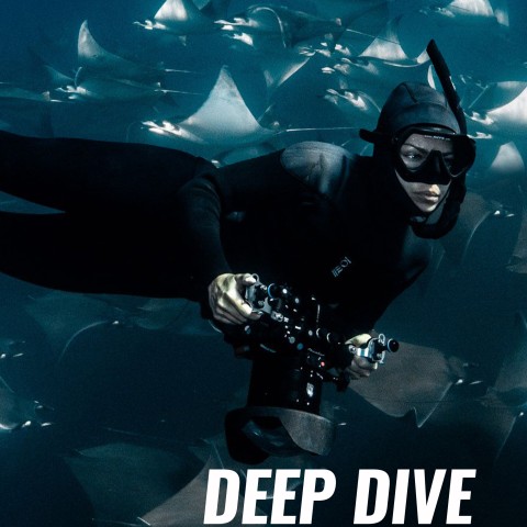 Deep Dive North America
