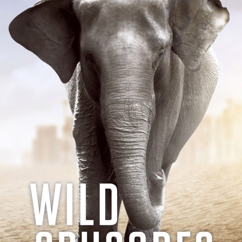 Wild Crusades
