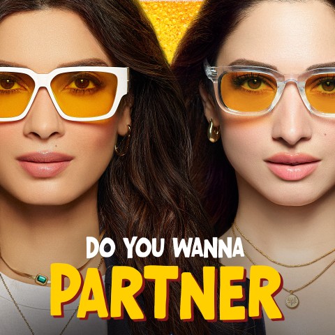 Do You Wanna Partner