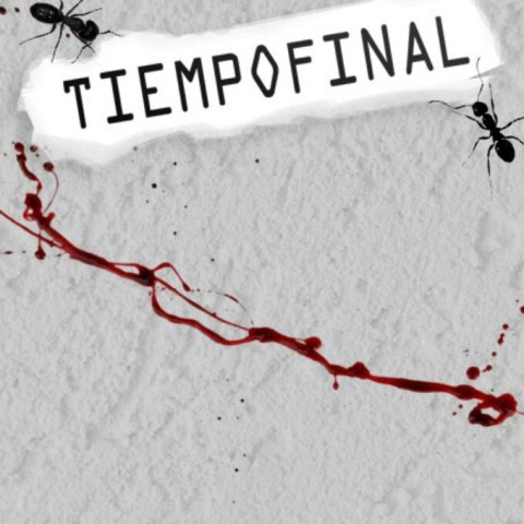 Tiempofinal