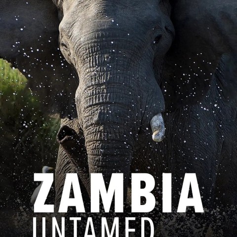Zambia Untamed