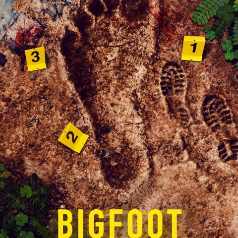 Bigfoot Took Her