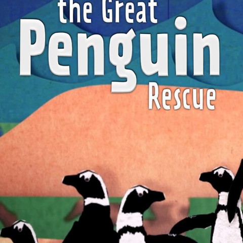The Great Penguin Rescue