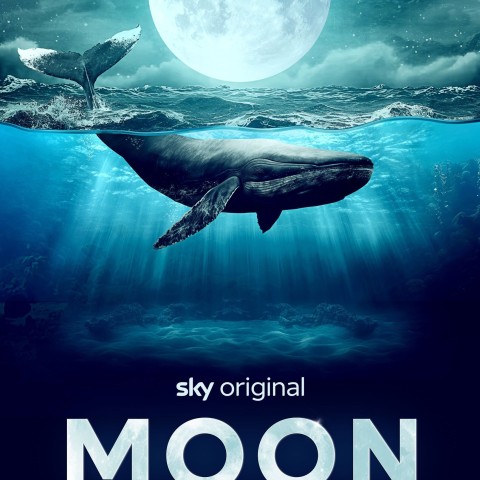 Moon: Nature's Secret Force
