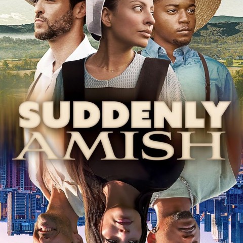 Suddenly Amish